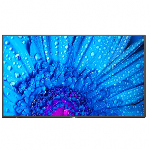 NEC MultiSync M491 Large Format Display 49 Zoll