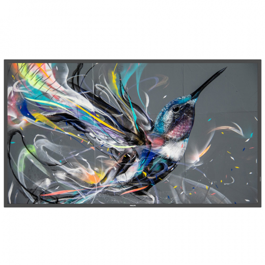 Philips Q-Line 50BDL3511Q Monitor 50 Zoll mit integriertem Mediaplayer