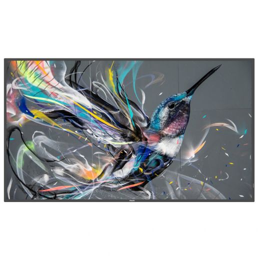 Philips Q-Line 55BDL3511Q Monitor 55 Zoll mit integriertem Mediaplayer