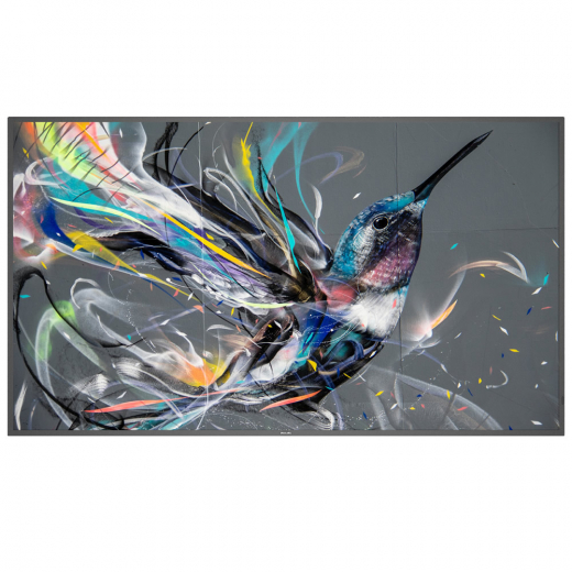 Philips Q-Line 65BDL3511Q Monitor 65 Zoll mit integriertem Mediaplayer