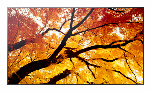 Sharp MultiSync PN-M752 189,2 cm (74.5") LED 550 cd/qm 4K Ultra HD Schwarz 24/7
