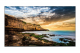 Samsung Smart Signage QE43T 43 Zoll