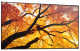 Sharp MultiSync M552 Digital Signage Flachbildschirm 139,7 cm (55") LCD 550 cd/qm 4K Ultra HD Schwarz Touchscreen