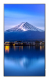 Sharp MultiSync P656 Kiosk-Design 163,8 cm (64.5") LCD 700 cd/qm 4K Ultra HD Schwarz Eingebauter Prozessor