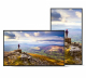 Sharp PN-E439 Digital Signage Flachbildschirm 109,2 cm (43") LCD 350 cd/qm 4K Ultra HD Schwarz 16/7
