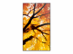 Sharp MultiSync PN-M982 Interaktiver Flachbildschirm 2,48 m (97.5") LED 550 cd/qm 4K Ultra HD Schwarz 24/7