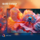 Hisense 32 Zoll A5Q | Hi-QLED Smart TV FHD 60 Hz