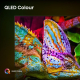 Hisense 55 Zoll U7Q | ULED MiniLED Smart TV 4K 144 Hz