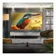 LG 86QNED85A6C Fernseher 2,18 m (86") 4K Ultra HD Smart-TV WLAN Schwarz