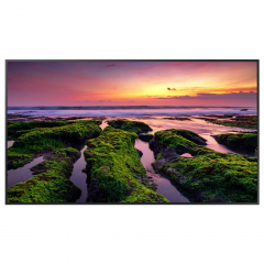 Samsung Smart Signage QB50B 50Zoll