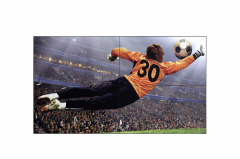 LG 49VL5G-M Videowand-Display Drinnen