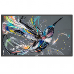 Philips Q-Line 32BDL3511Q Monitor 32 Zoll mit integriertem Mediaplayer