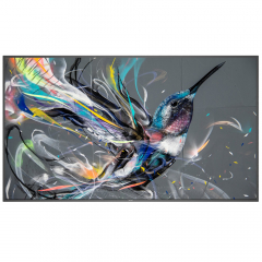 Philips Q-Line 75BDL3511Q Monitor 75 Zoll mit integriertem Mediaplayer