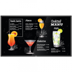 Philips P-Line 55BDL3117P Monitor 55 Zoll mit robustem Metallgehäuse