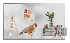 LG 55EW5P-M Signage-Display 139,7 cm (55") OLED 600 cd/qm Full HD Silber Touchscreen 18/7