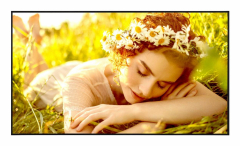 LG 43UL5Q-E Signage-Display Digital Signage Flachbildschirm 109,2 cm (43") LED WLAN 500 cd/qm 4K Ultra HD Schwarz WebOS 24/7