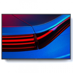 NEC MultiSync P495 Professional Large Format Display 49 Zoll