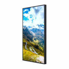 Hisense 55WF25E Schaufenster Display 55 Zoll