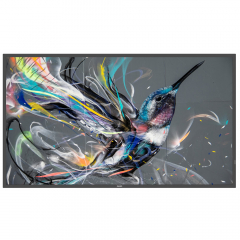 Philips 50BDL3550Q UHD Display 50 Zoll (125,7 cm)