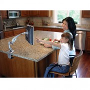 Ergotron Neo-Flex LCD TFT Tischhalter für Monitore bis 22 Zoll