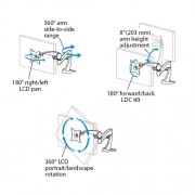 Ergotron Neo-Flex LCD TFT Tischhalter für Monitore bis 22 Zoll