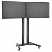 LCD LED Duo Rollwagen Trolley für Displays bis 48 Zoll