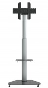 Höhenverstellbarer LCD LED Standfuß auf Rollen 37-70 Zoll