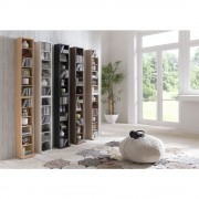 VCM CD DVD Regal Bigol