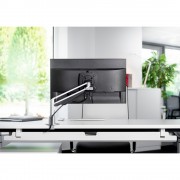Novus Monitortragarm Clu Duo mit Tischbefestigung