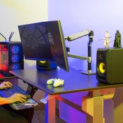 Ergotron LX Dual Monitor mit Tischmontage