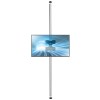 TV Decken-Boden Säule DBS55-300 für Displays bis 55 Zoll